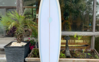 Fish-Twin-Keel-01-960×960