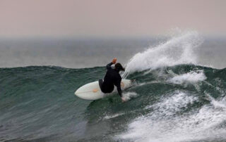 Fish-Twin-Keel-04-960×960